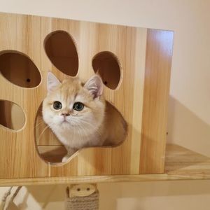 Meet your Posher, Li